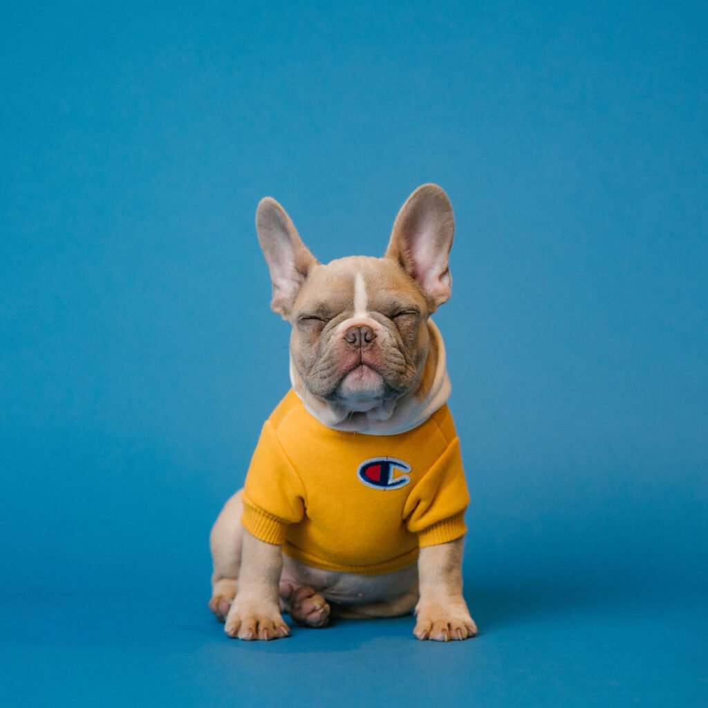 Tuxela – Technology Geeks